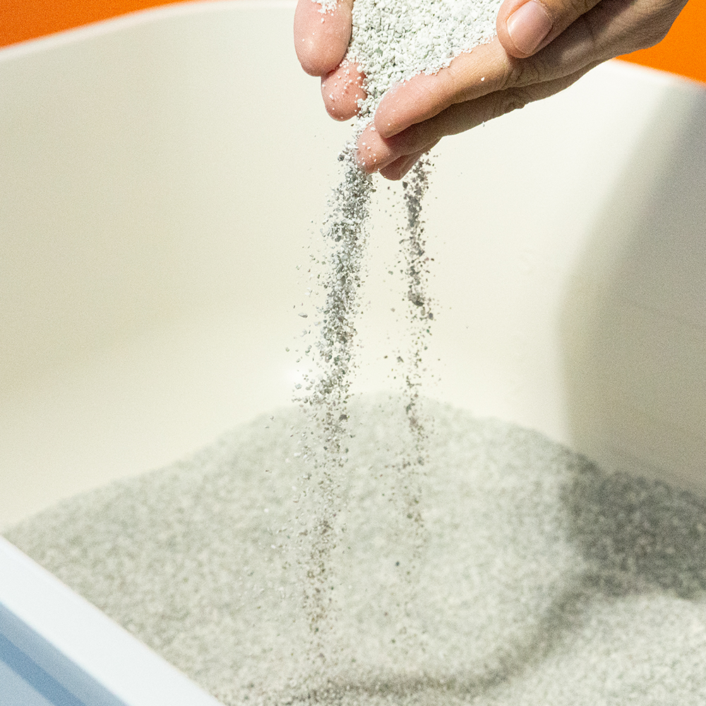 펫라벨 모랭머랭 벤토 + 카사바 18kg (6kg x 3ea)