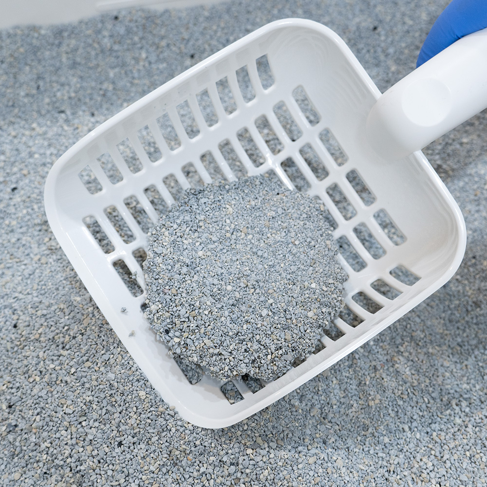 펫라벨 모랭머랭 벤토나이트 18kg (6kg x 3ea)